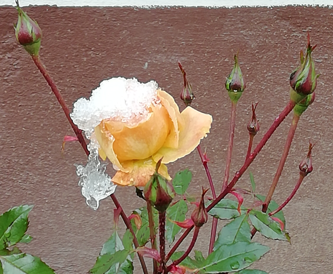 winterbild2